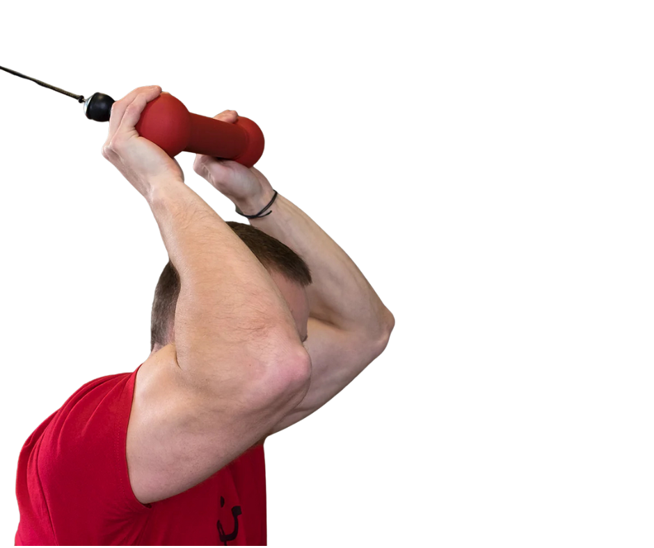 Body-Solid BSTDB Dog Bone Grip (New)
