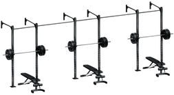 French Fitness Wall Mount Rig & Rack System 1 (New)