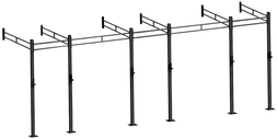 French Fitness Wall Mount Rig & Rack System 23 (New)
