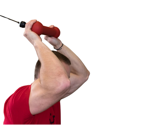 Body-Solid BSTDB Dog Bone Grip (New)