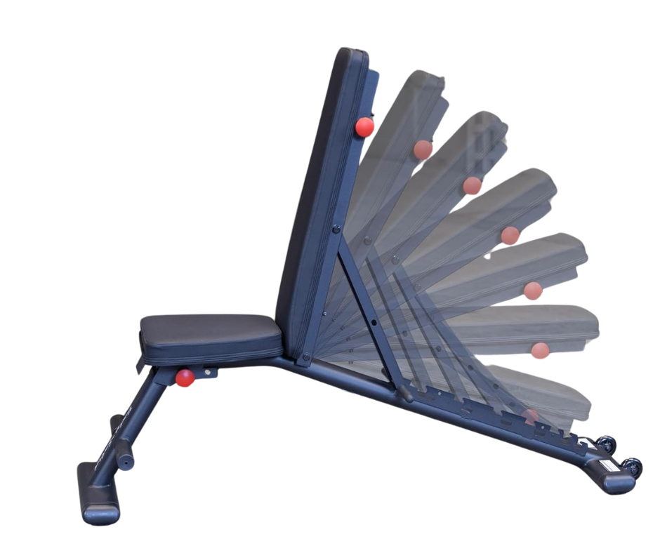 Body-Solid GFID225B Folding Multi Bench (New)