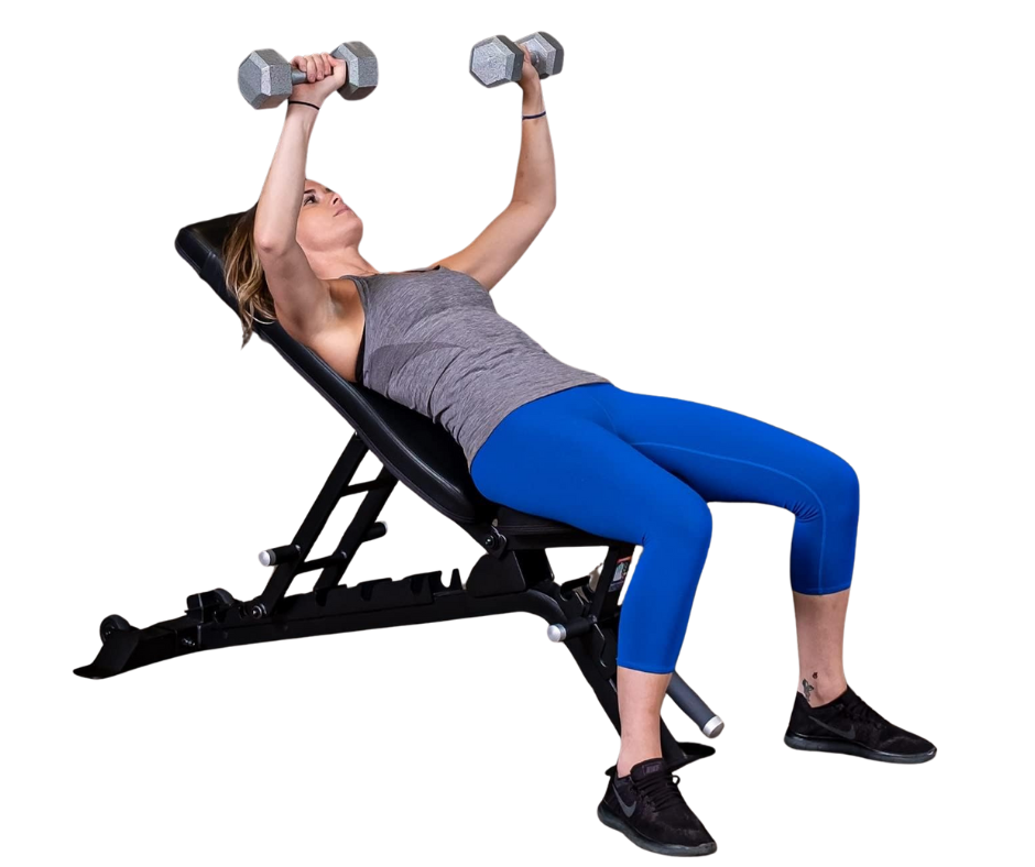 Body-Solid SFID325B Pro Clubline Adjustable Commercial Bench (New)
