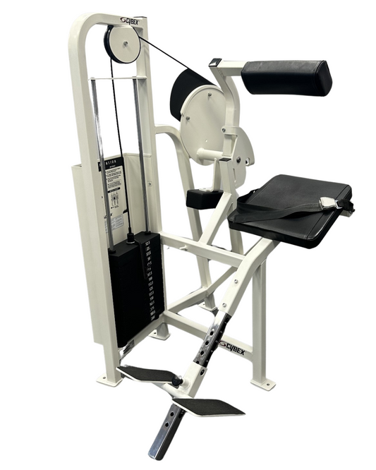 Cybex VR2 Back Extension (Remanufactured)
