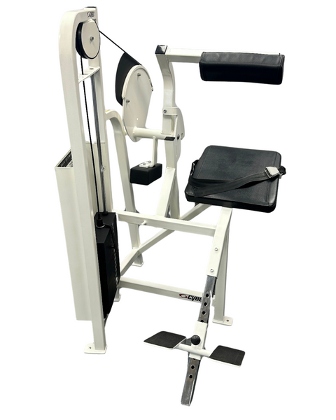 Cybex VR2 Back Extension (Remanufactured)