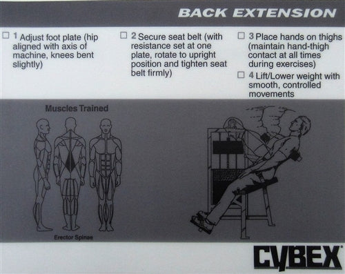 Cybex Classic Back Extension (Remanufactured)