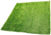 French Fitness Artificial Grass Synthetic Lawn Turf Flooring Roll 65.5' x 6.5' (New)
