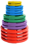 French Fitness Colored Rubber Grip Olympic Plate Set 350 lbs (New)