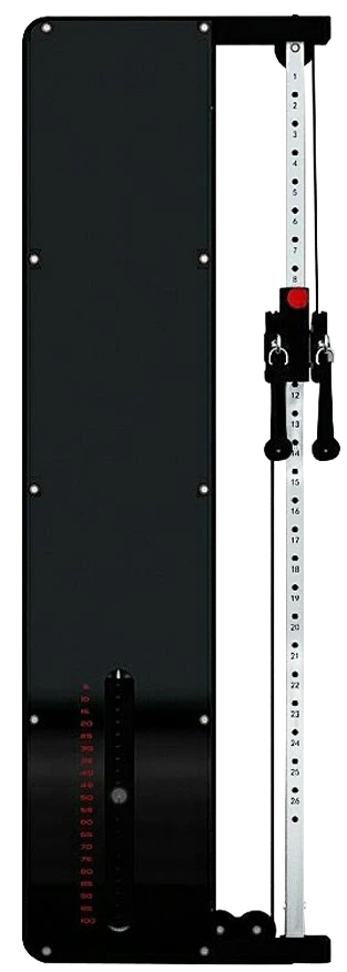 French Fitness Dual Pulley Wall Mounted Cable Column (New)