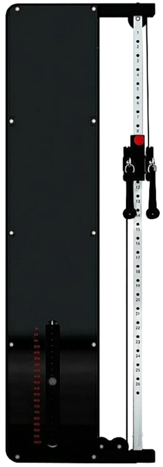 French Fitness Dual Pulley Wall Mounted Cable Column (New)