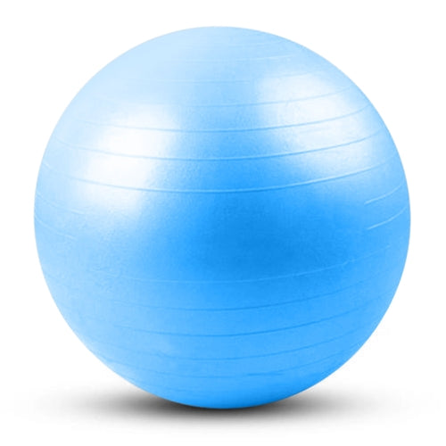 French Fitness Anti Burst Stability Exercise Ball 55cm (New)