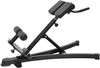 French Fitness 45 Degree Back Hyperextension HE450 (New)