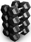 French Fitness Rubber Coated Hex Dumbbell Set 105-120 lbs Image