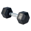 French Fitness Rubber Coated Hex Dumbbell Set 5-100 lbs (New)