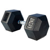 French Fitness Rubber Coated Hex Dumbbell Set 80-100 lbs (New)