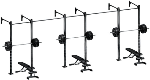 French Fitness Wall Mount Rig & Rack System 1 (New)
