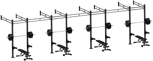 French Fitness Wall Mount Rig & Rack System 23 (New)