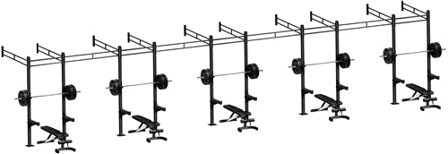 French Fitness Wall Mount Rig & Rack System 23 (New)