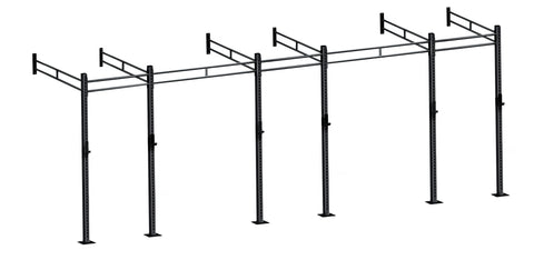French Fitness Wall Mount Rig & Rack System 23 (New)