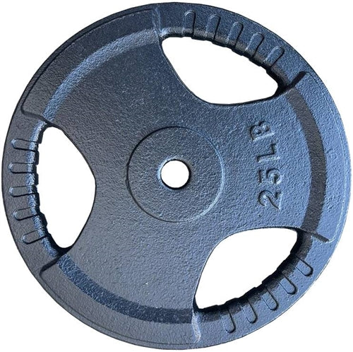 French Fitness Standard Cast Iron 1" Weight Plate 25 lbs Image