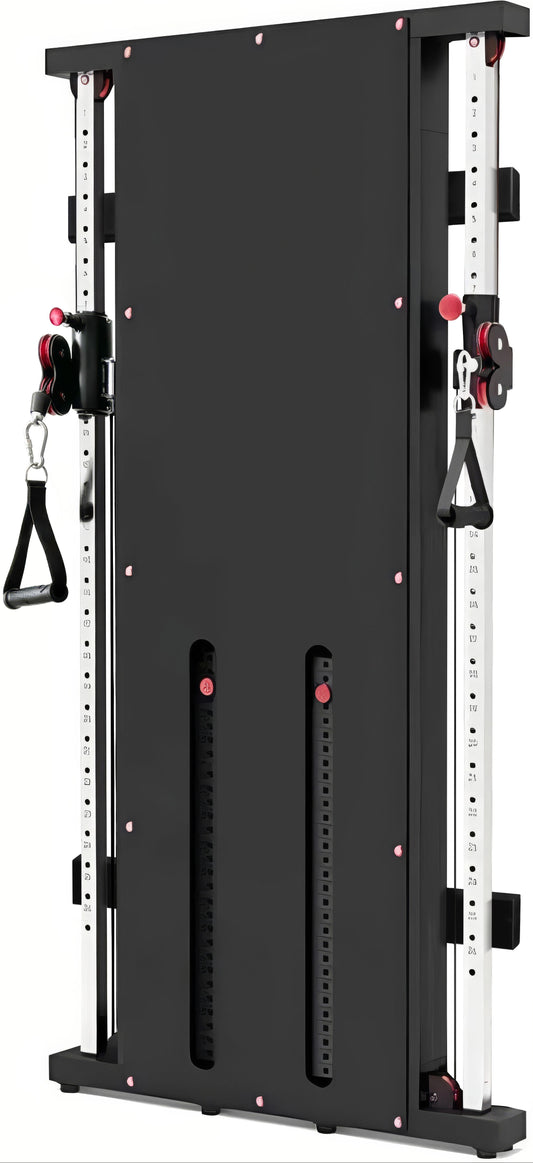 French Fitness Wall Mounted Dual Cable Column Component (New)
