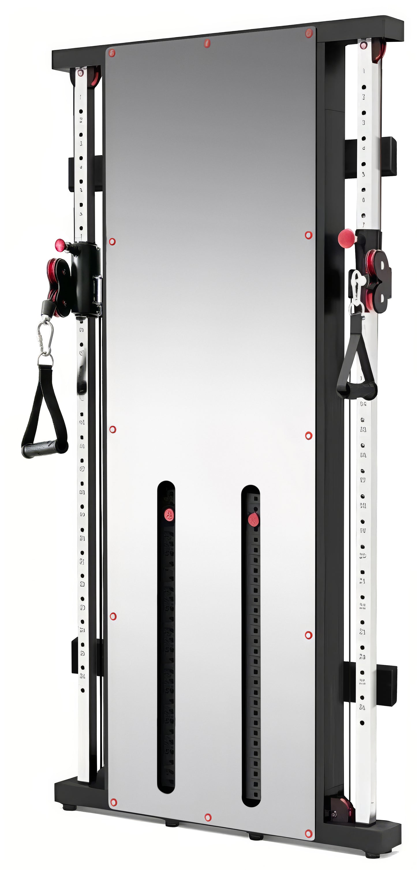 French Fitness Wall Mounted Mirror Functional Trainer (New)