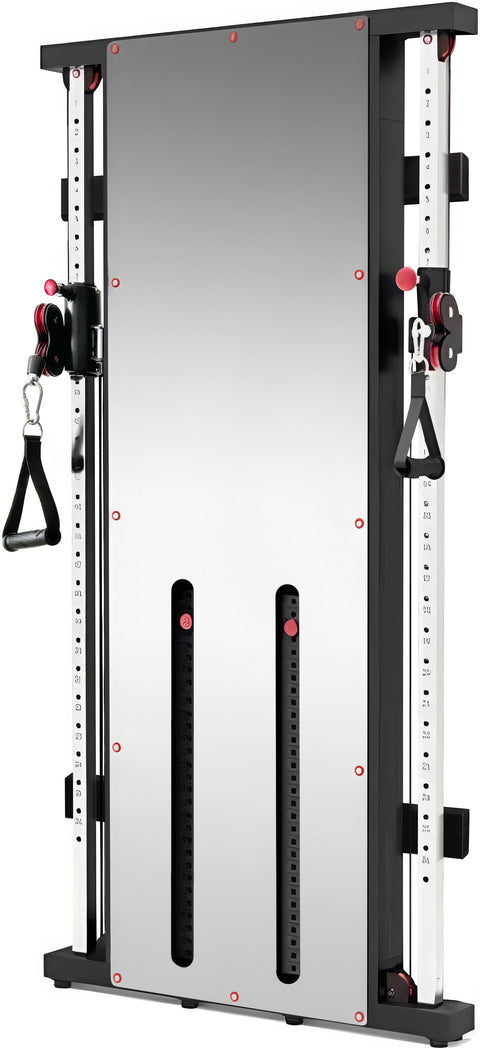 French Fitness Wall Mounted Mirror Functional Trainer (New)