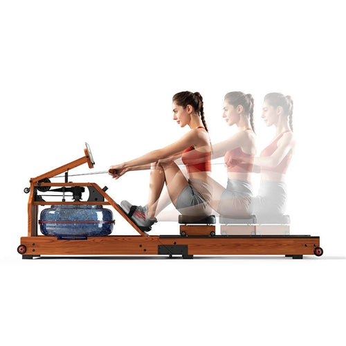 French Fitness WR80 Water Rowing Rower Machine w/Resistance (New)