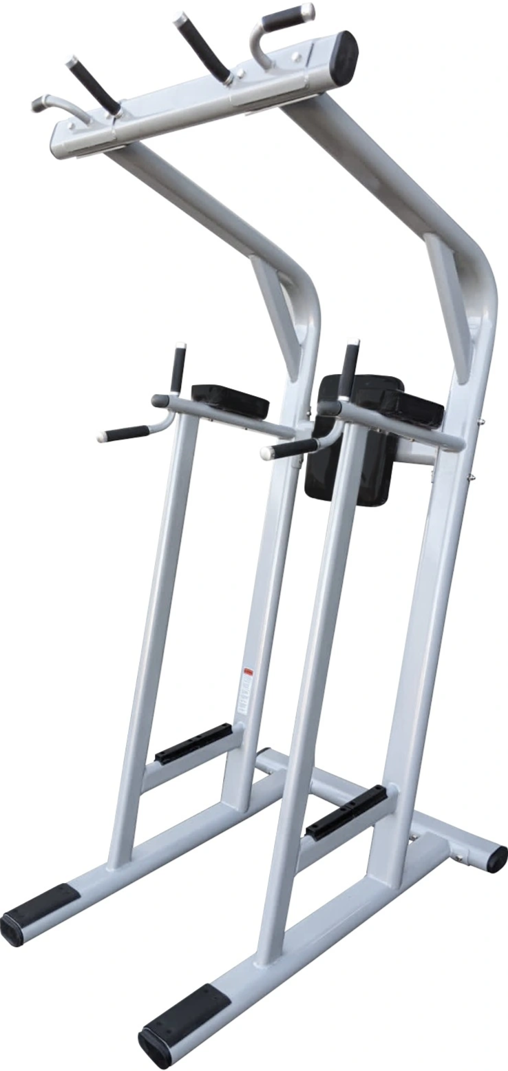 French Fitness Silver FFS Pull Up / Vertical Knee Raise VKR (New)