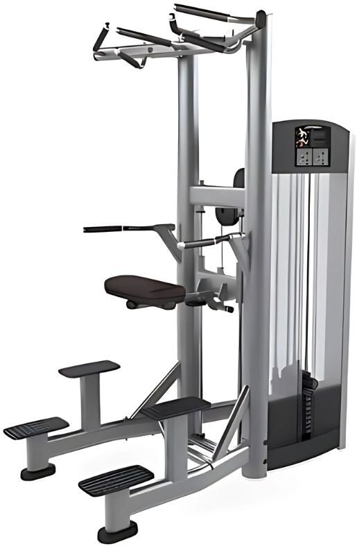 Life Fitness Signature Assist Dip Chin (Remanufactured)