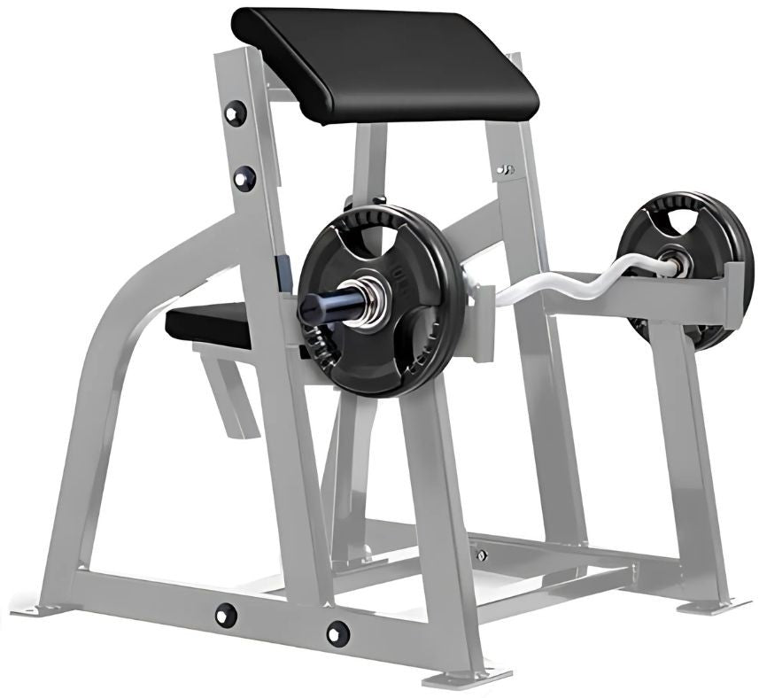 Life Fitness Signature Preacher Biceps Arm Curl Bench (Remanufactured)