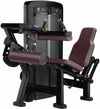 Life Fitness Insignia Series Seated Leg Curl Image