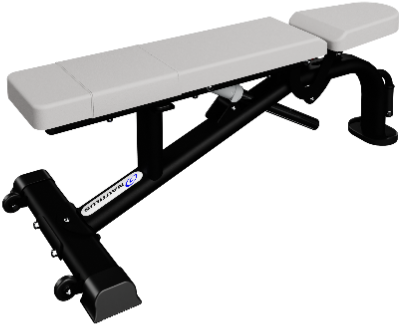 Nautilus Instinct Multi-Adjustable Bench 9NN-B7501-60ARS (New)