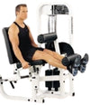 Paramount Leg Extension/Horizontal Curl SF-1900 (Remanufactured)
