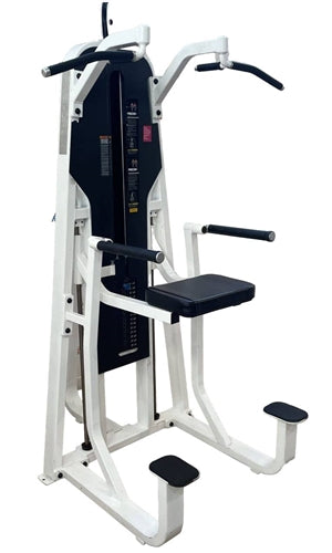 Precor Icarian Chin Dip Assist (Remanufactured)