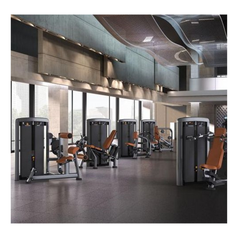 Life Fitness Insignia Series Row (Remanufactured)