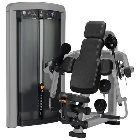 Life Fitness Insignia Series Biceps Curl (Remanufactured)