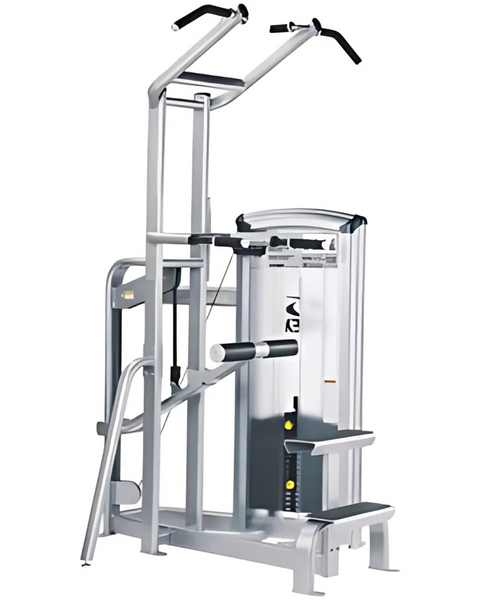 Cybex VR3 Dip/Chin Assist (Remanufactured)