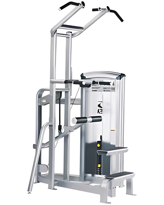 Cybex VR3 Dip/Chin Assist (Remanufactured)