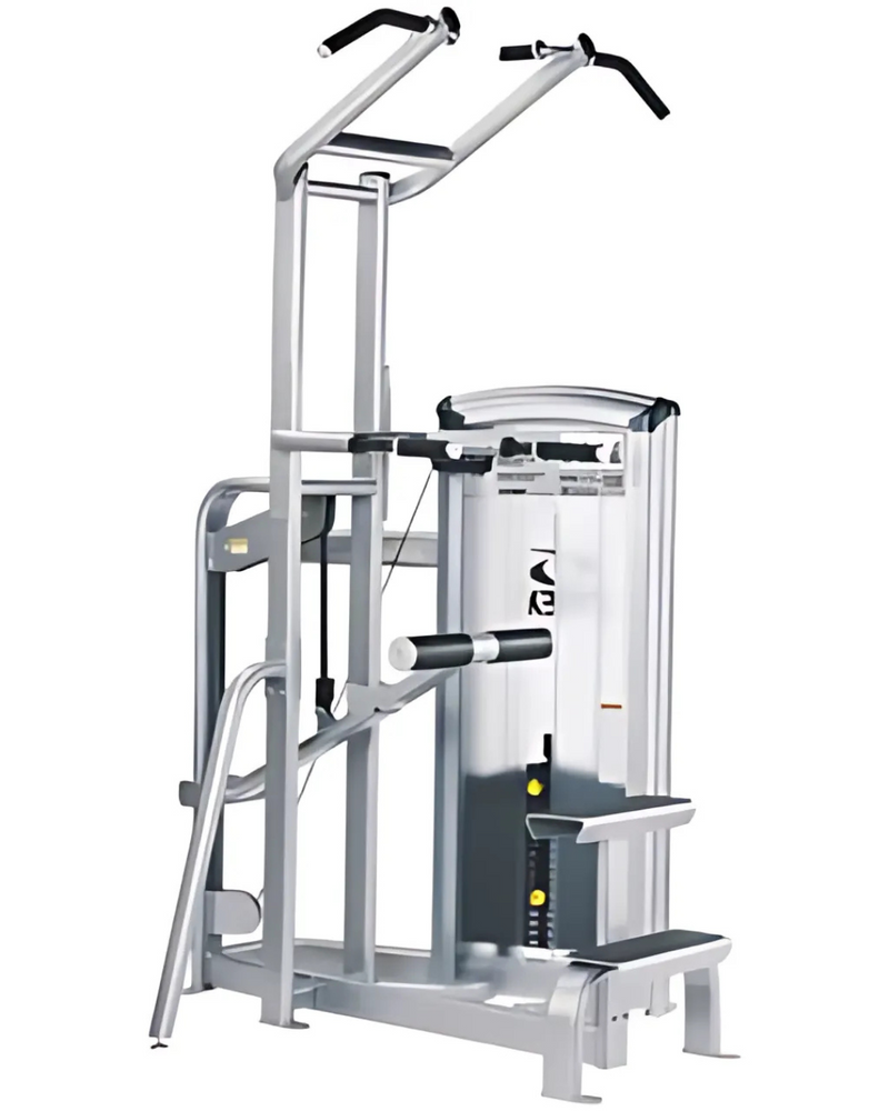 Cybex VR3 Dip/Chin Assist (Remanufactured)
