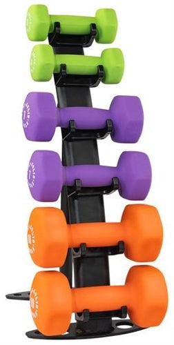 Body Solid GDR10B Vinyl Dumbbell Rack (New)