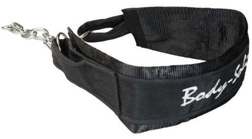 Lifting Belt