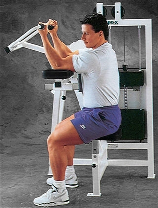 Cybex Classic Bicep Curl Image