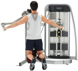 Cybex Eagle Lateral Raise 11160 Image