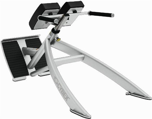 Cybex Prestige 45 Degree Back Hyperextension Image