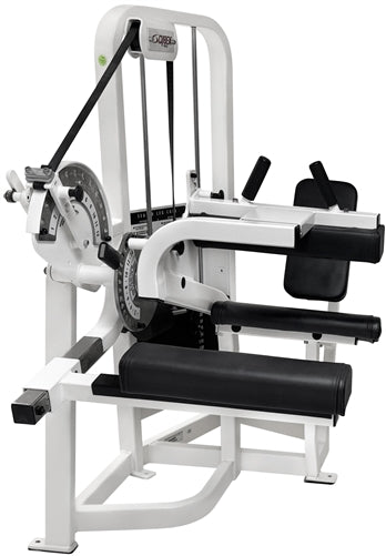 Cybex VR2 Seated Leg Curl (Remanufactured)