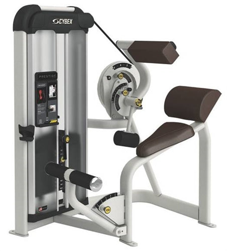 Cybex Prestige Strength VRS Back Extension Image