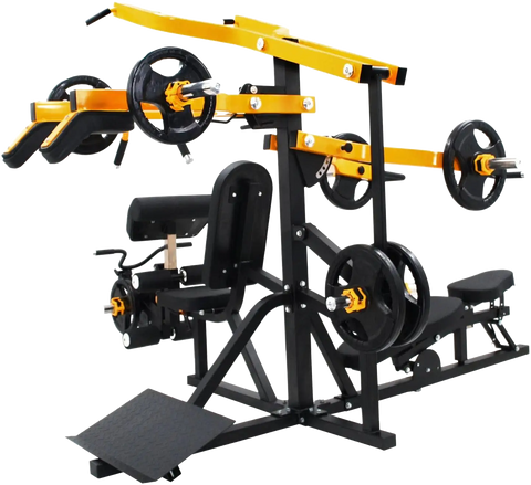 French Fitness FL100 Freeweight Leverage Gym System (New)