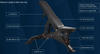 French Fitness FSR50-AB Adjustable Bench (New)