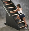 Jacobs Ladder Exercise Machine (New)