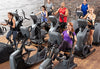 Octane Fitness XT4700 Elliptical w/Smart Console (Remanufactured)